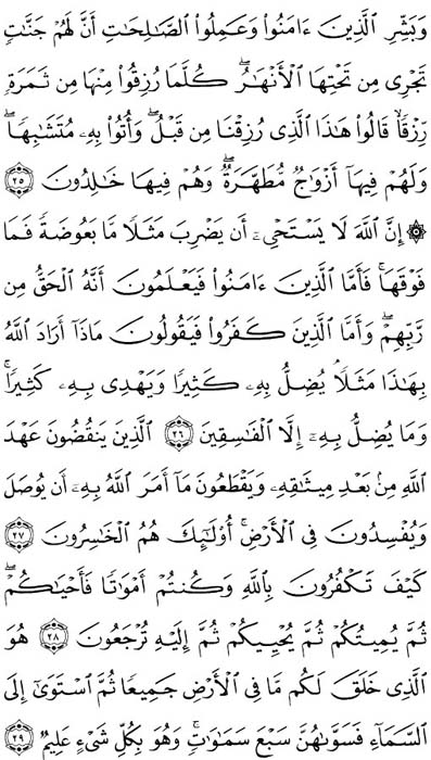 صفحة المصحف 5