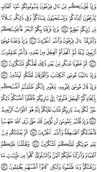 صفحة المصحف 8