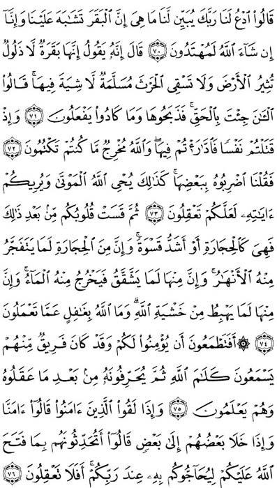 صفحة المصحف 11