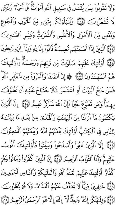 صفحة المصحف 24