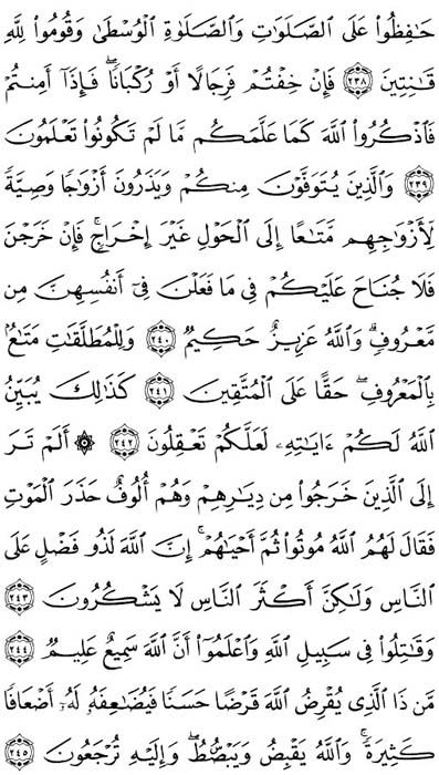 صفحة المصحف 39