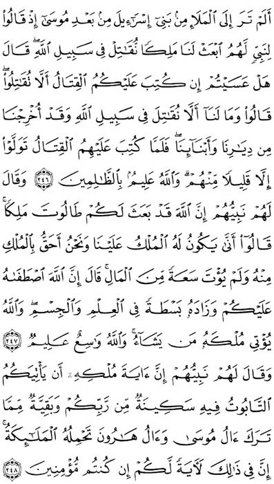صفحة المصحف 40