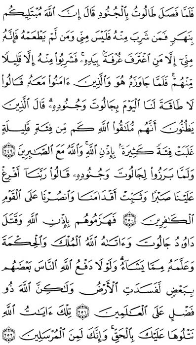 صفحة المصحف 41