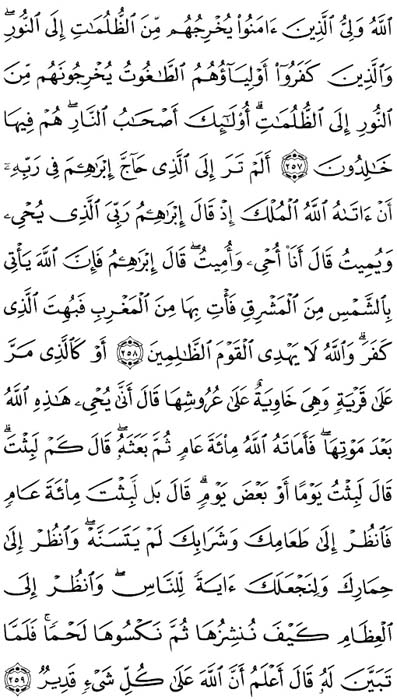 صفحة المصحف 43