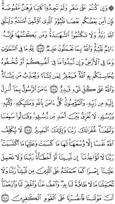 صفحة المصحف 49