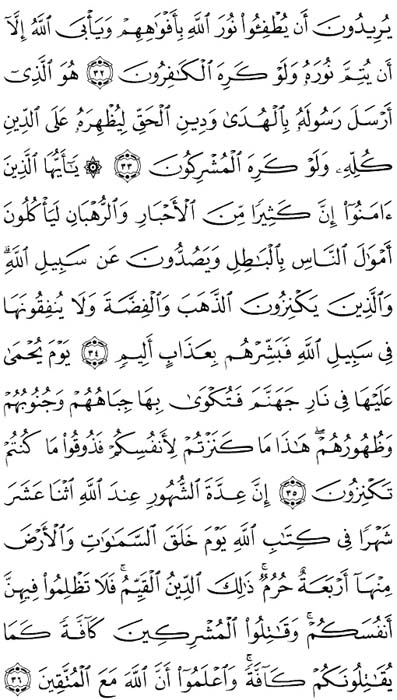صفحة المصحف 192