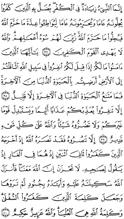 صفحة المصحف 193