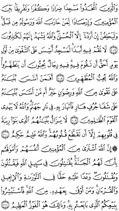 صفحة المصحف 204