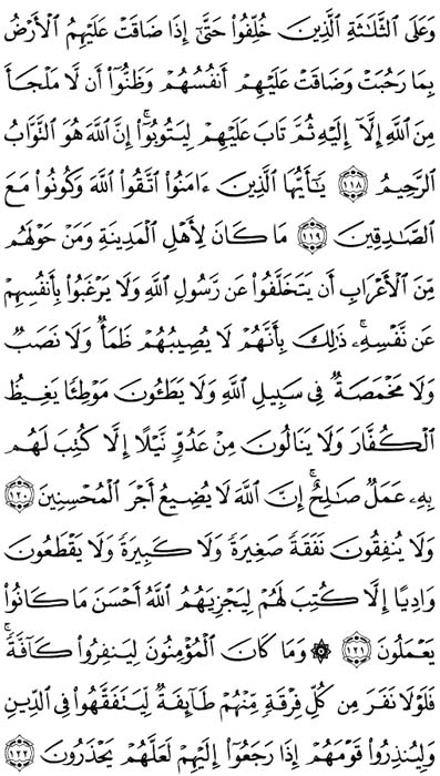 صفحة المصحف 206