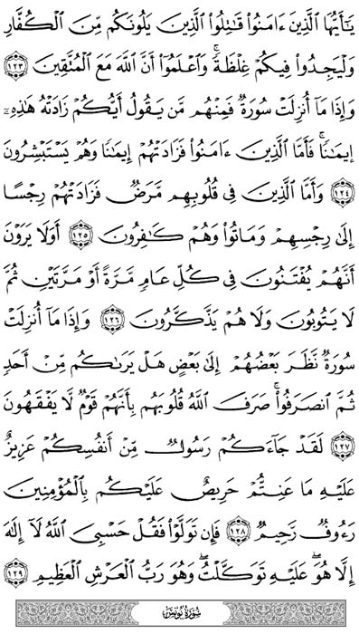 صفحة المصحف 207