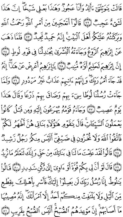 صفحة المصحف 230