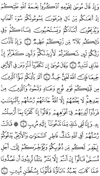صفحة المصحف 256