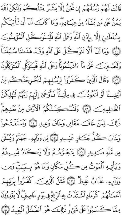 صفحة المصحف 257