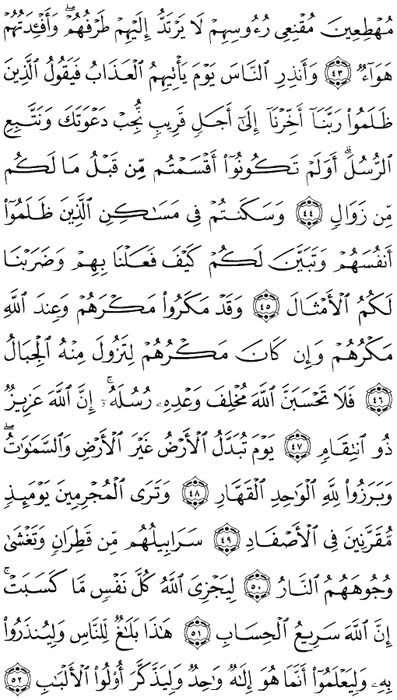 صفحة المصحف 261