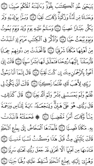 صفحة المصحف 306