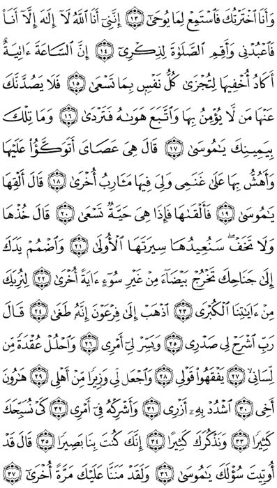 صفحة المصحف 313