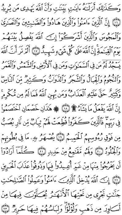 صفحة المصحف 334