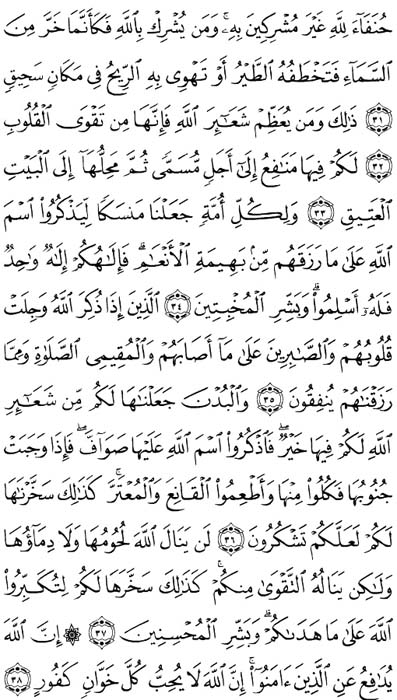 صفحة المصحف 336