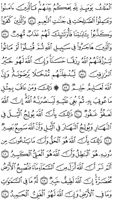 صفحة المصحف 339