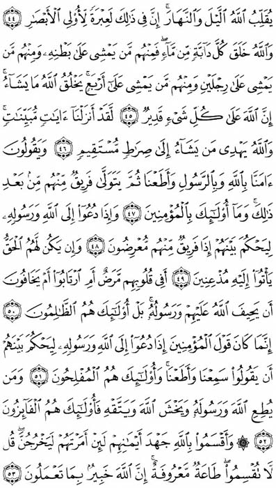 صفحة المصحف 356