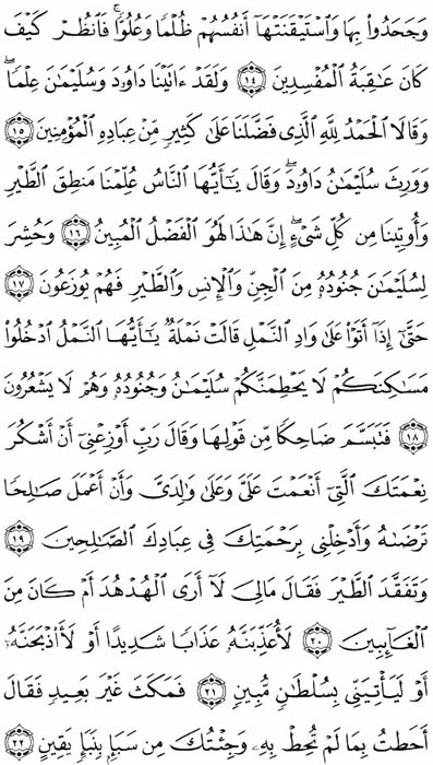 صفحة المصحف 378