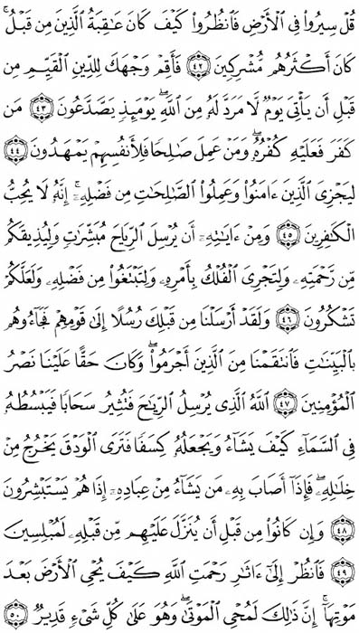 صفحة المصحف 409