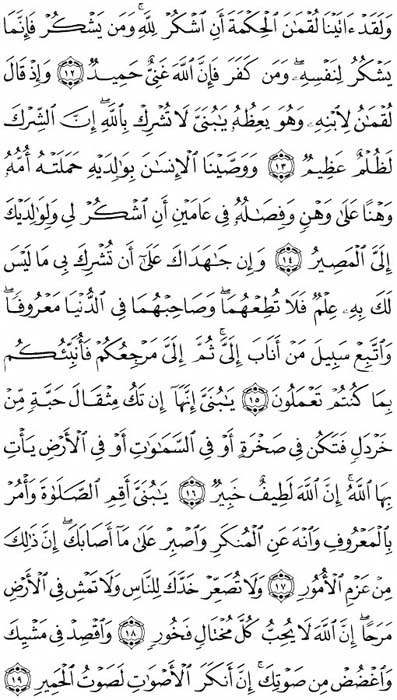 صفحة المصحف 412