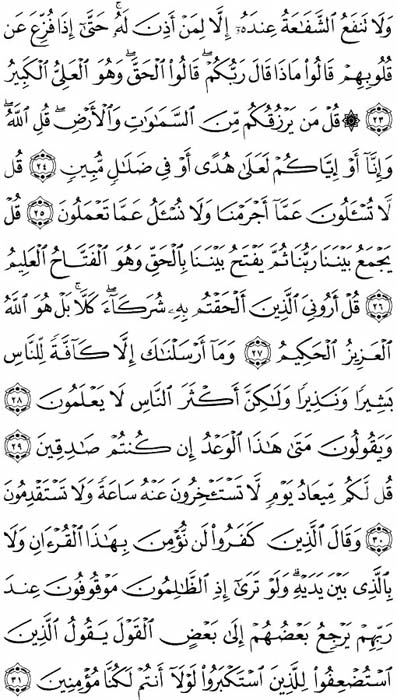 صفحة المصحف 431