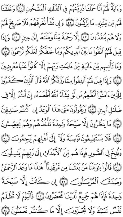 صفحة المصحف 443
