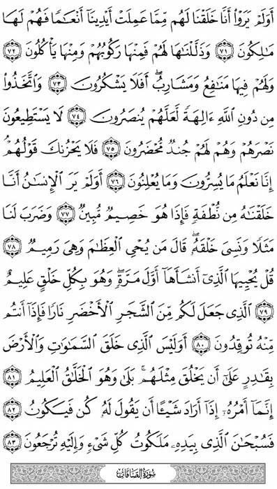 صفحة المصحف 445