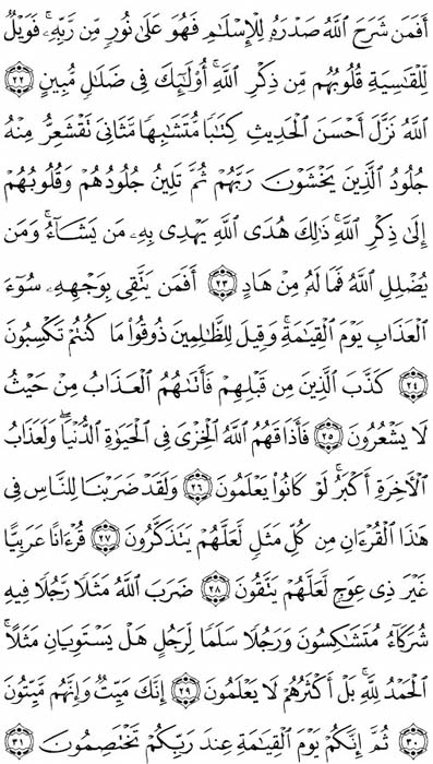 صفحة المصحف 461