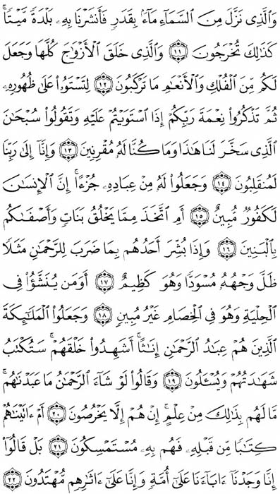 صفحة المصحف 490