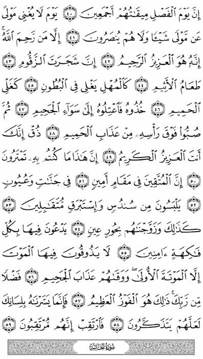 صفحة المصحف 498