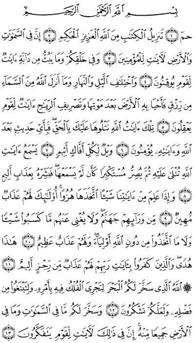 صفحة المصحف 499