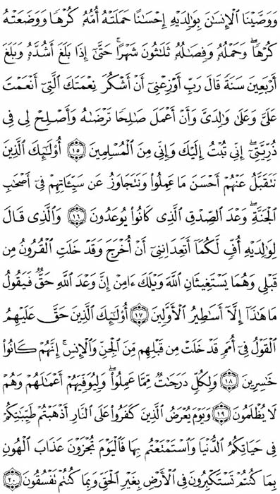 صفحة المصحف 504