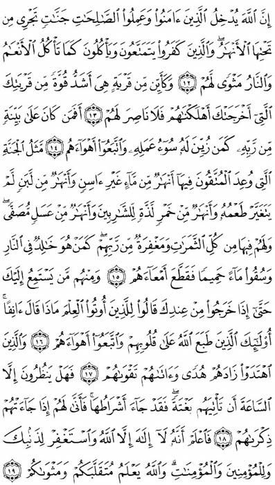 صفحة المصحف 508