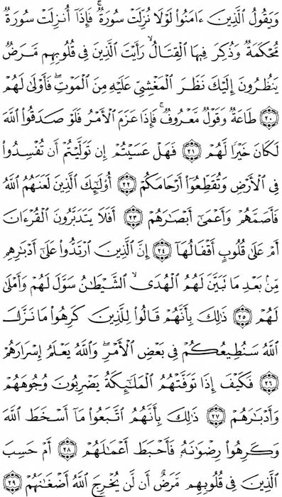 صفحة المصحف 509