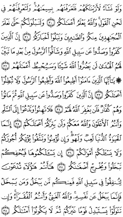 صفحة المصحف 510