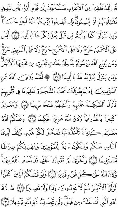 صفحة المصحف 513