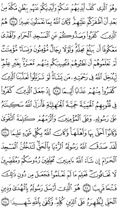 صفحة المصحف 514