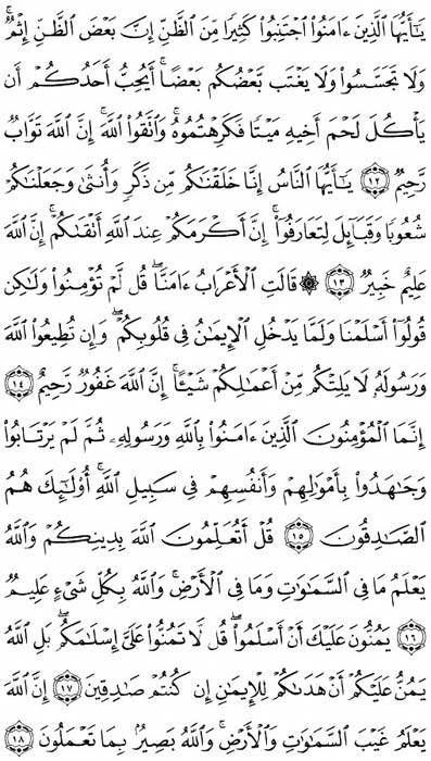 صفحة المصحف 517