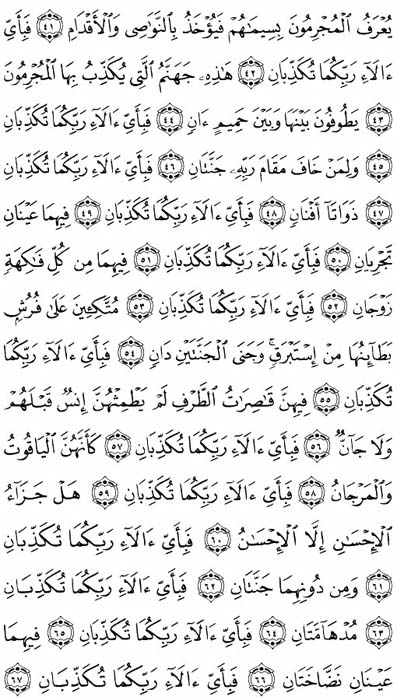 صفحة المصحف 533