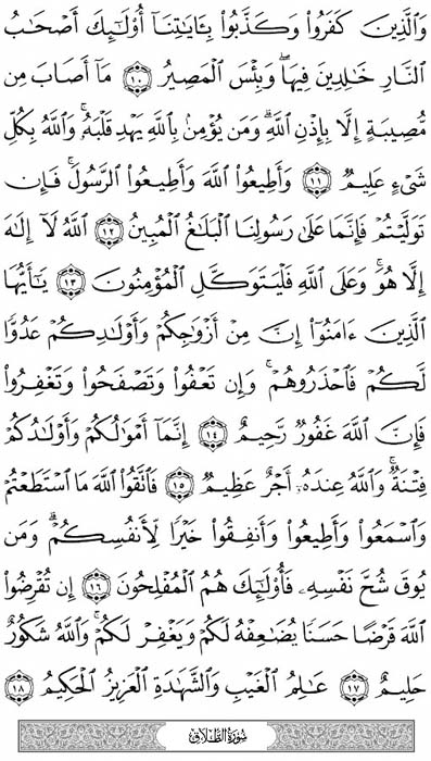 صفحة المصحف 557