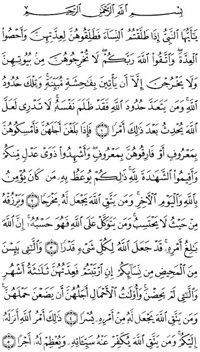 صفحة المصحف 558