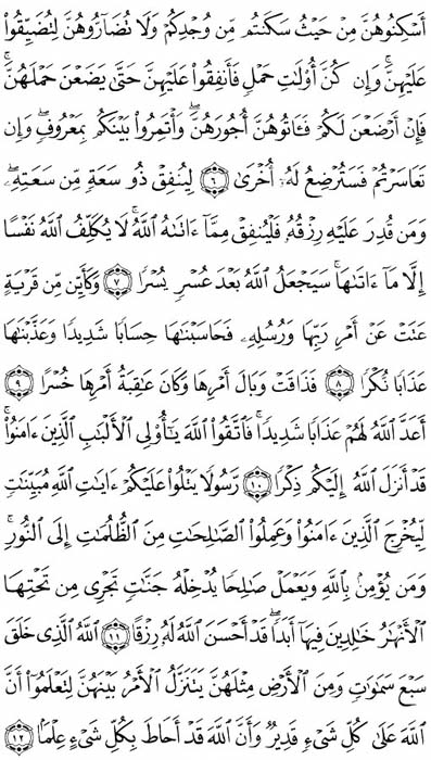 صفحة المصحف 559