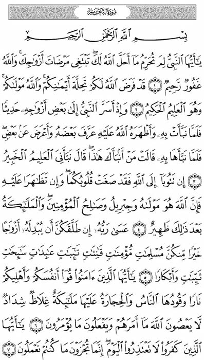 صفحة المصحف 560