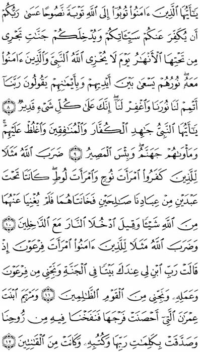 صفحة المصحف 561