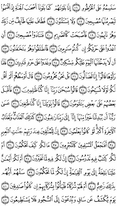 صفحة المصحف 565